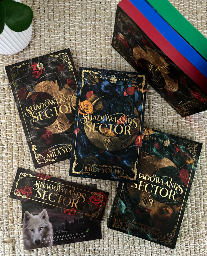 *NEW* Shadowlands Sector Special Edition 3 Book Bundle cover featuring stunning artwork and metallic accents