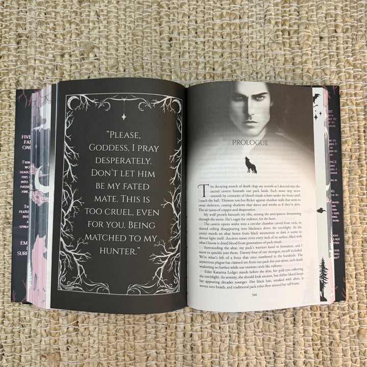 Cursed & Claimed: A Wolf Shifter & Dragon Shifter Collection