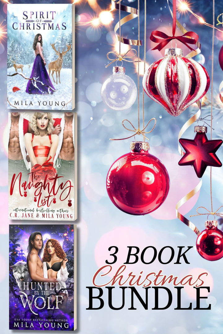 *NEW* Enchanted Christmas 3 Paperback Bundle