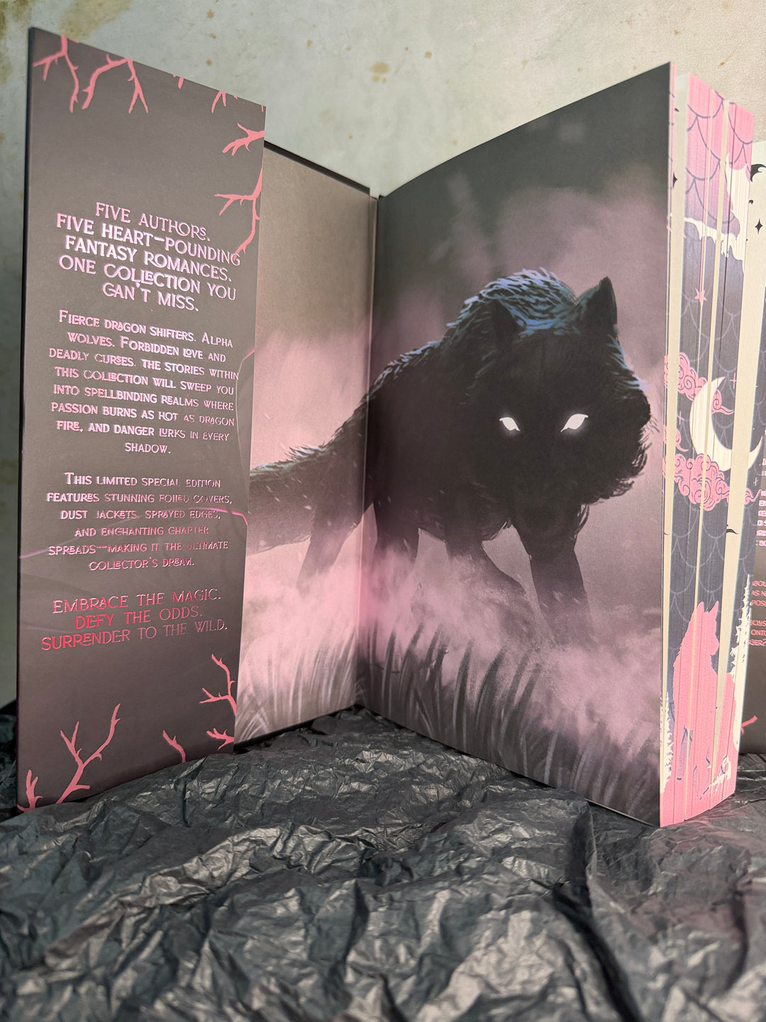 Cursed & Claimed: A Wolf Shifter & Dragon Shifter Collection
