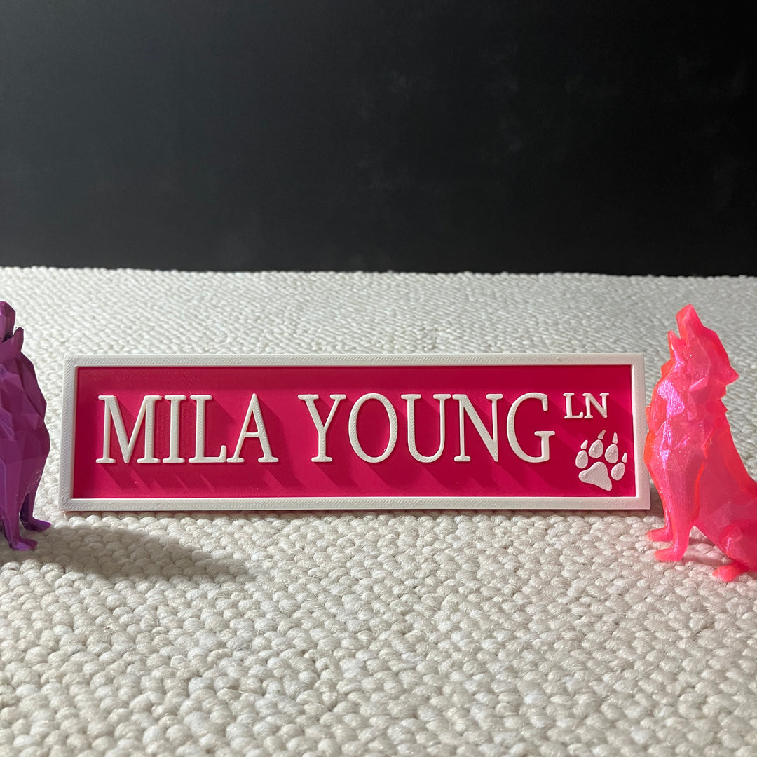 Bright blue 3D printed Mila Young Lane street sign indicating the designated zone for Mila Young on a bookshelf