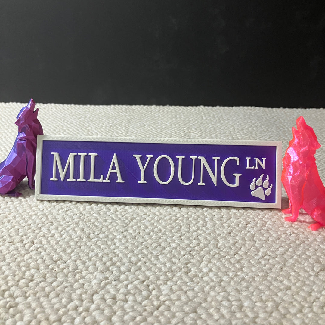 Green 3D printed Mila Young Lane street sign used to mark Mila Young's dedicated bookshelf area in a colourful setup