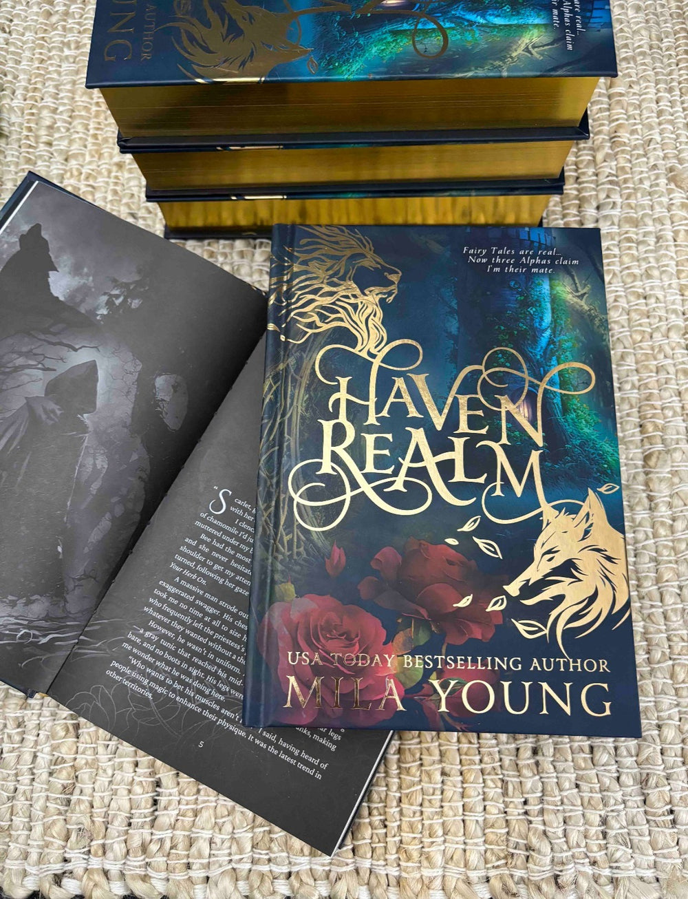 Haven Realm Omnibus Special Edition with exclusive artwork and bonus content